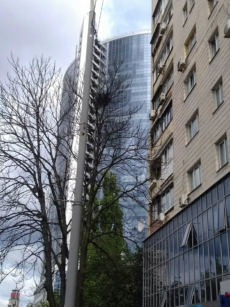 Продается 1-ая квартира, Леси Украинки 3, бул.,