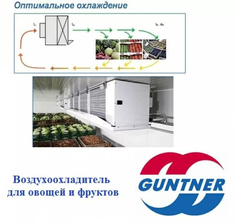 Градирни,  шокфростеры,  воздухоохладители GUNTNER 2