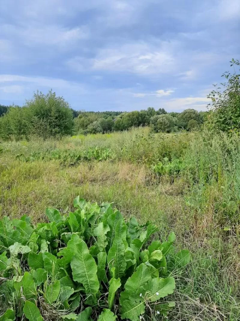 Продається земля в с. Пилиповичі,  Бородянський р-н