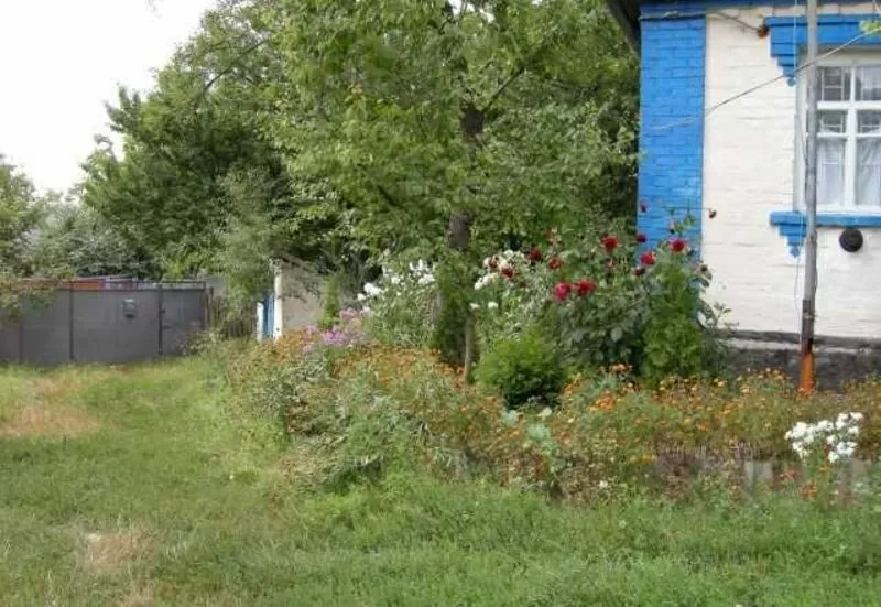 Продается дом в с. Малополовецкое Киевской области 3