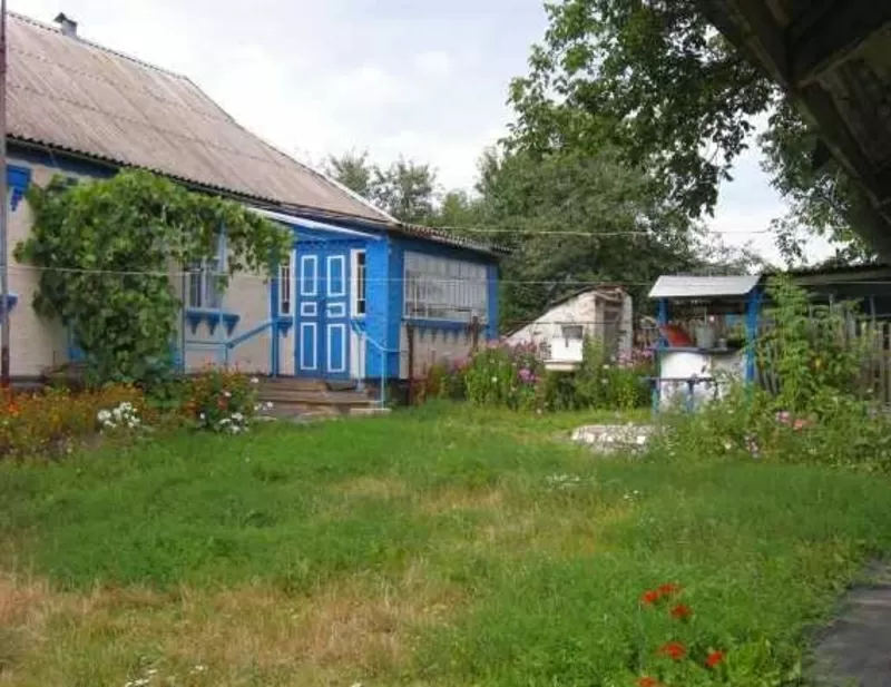 Продается дом в с. Малополовецкое Киевской области 4