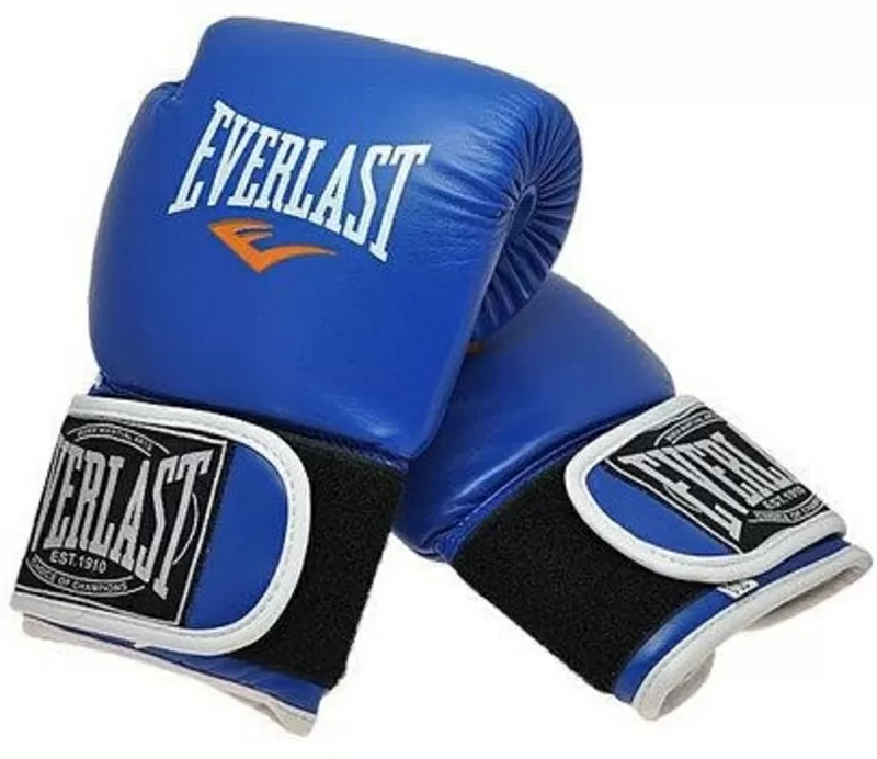 Перчатки бокс Everlast 10 унц. винил