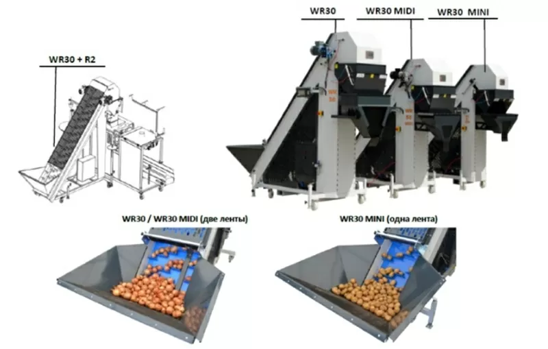 Ленточный весовой Вега дозатор для упаковки в сетку корнеплодов