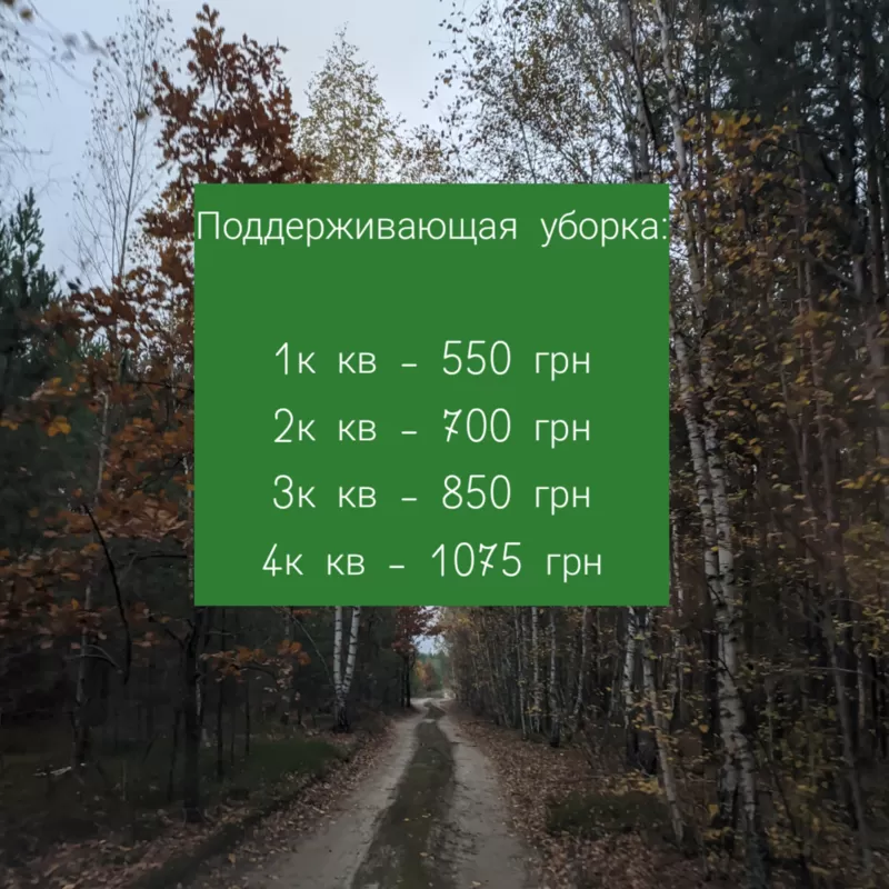 Клининговые услуги, химчистка мебели 2