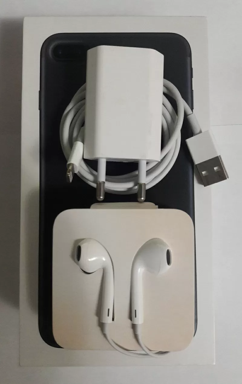 Наушники Apple EarPods with Lightning Connector (MMTN2) + З.У. 2