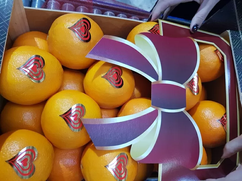 Предлагаем оптовые поставки свежих апельсинов 2