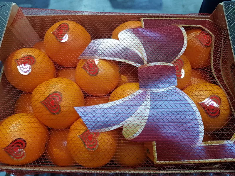 Предлагаем оптовые поставки свежих апельсинов 3