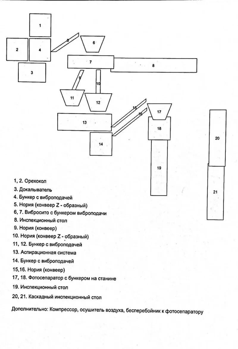 Линия по колке грецкого ореха