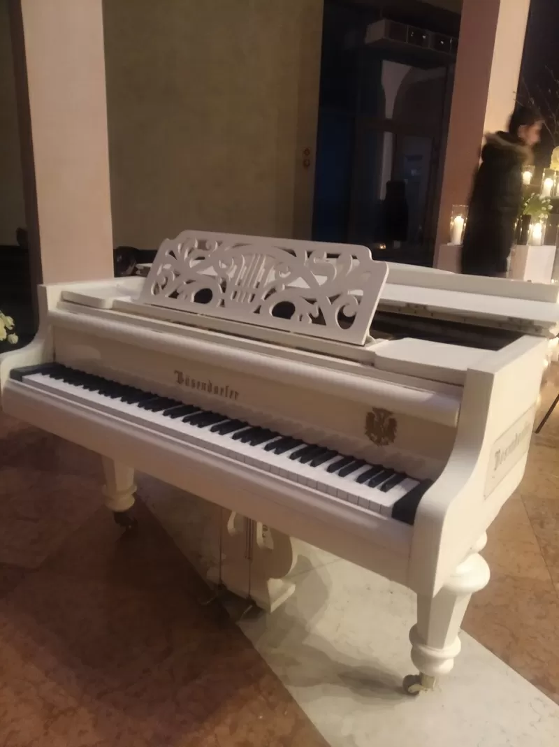Аренда рояля в Киеве - посуточная и долгосрочная аренда рояля
