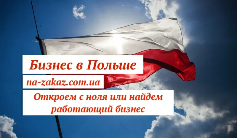 Бизнес в Польше - открытие с ноля или покупка готового