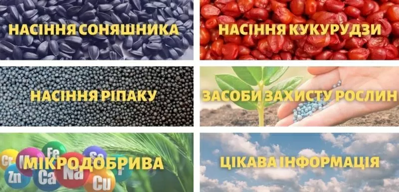 Відкрийте світ високоякісного насіння та ЗЗР з TK Agro Seeds