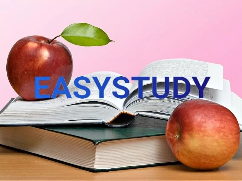 Автор научных работ в EasyStudy