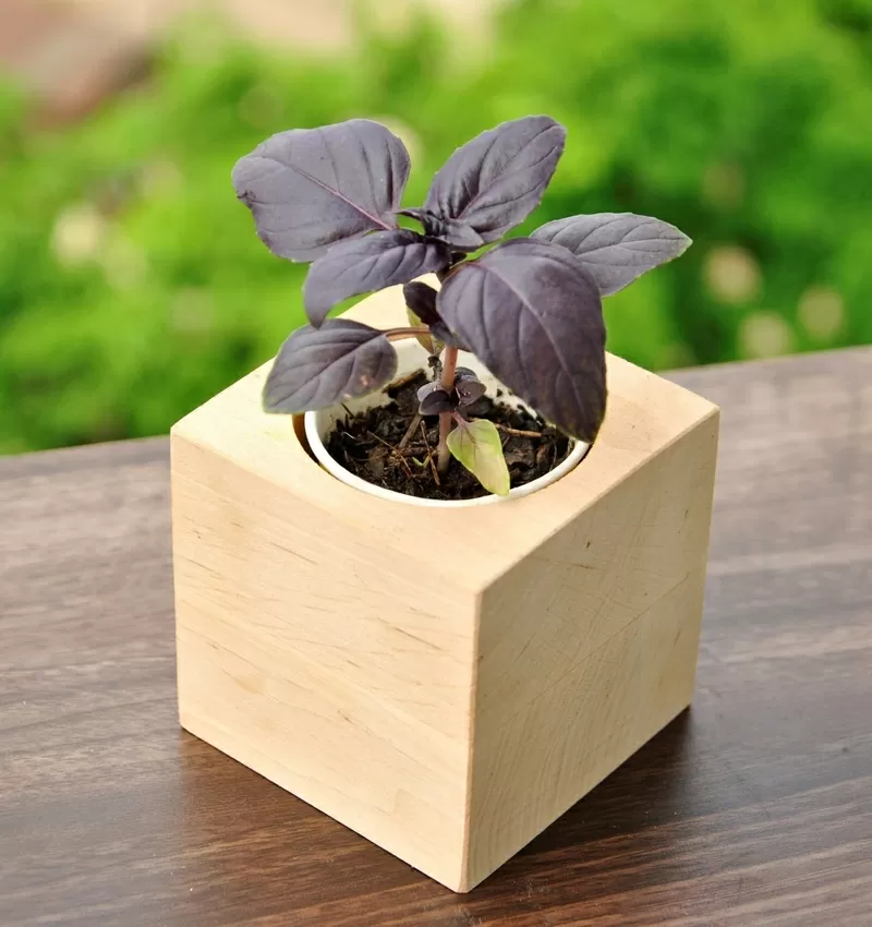 Корпоративні подарунки для агрокомпаній від Екокуб 3