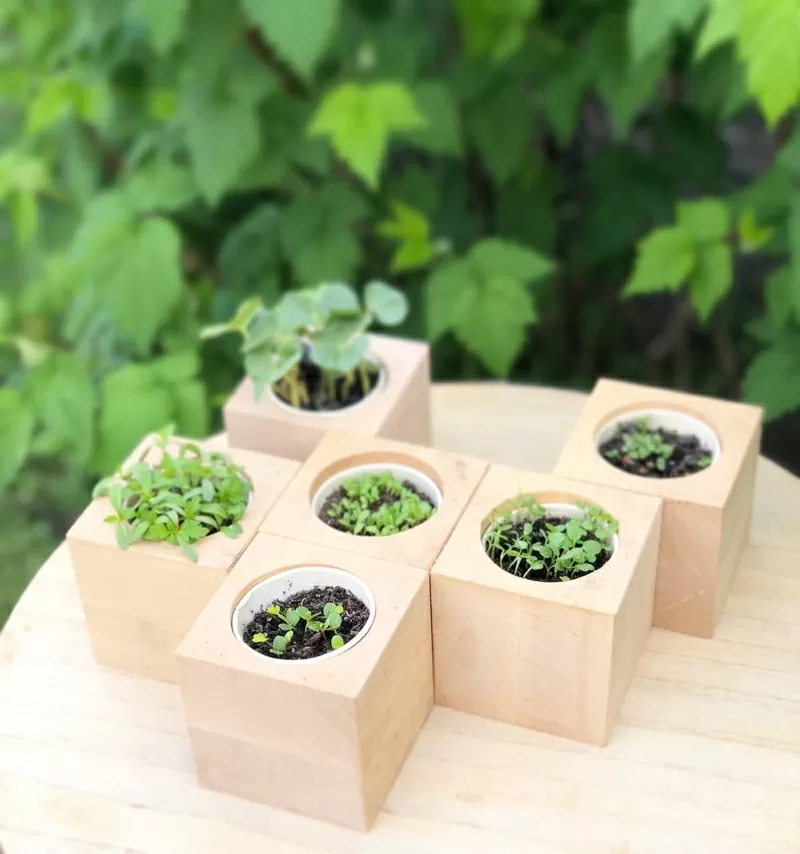 Корпоративні подарунки для агрокомпаній від Екокуб 4