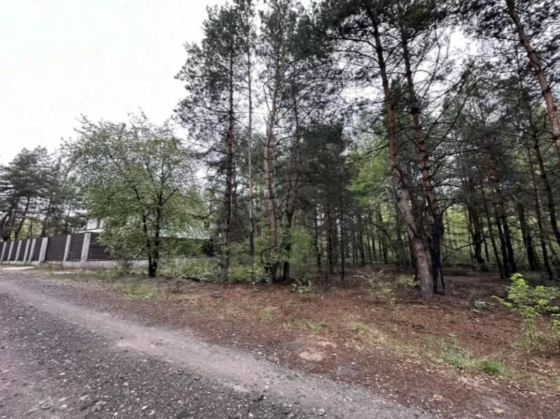 Продаж ділянки 10 сот. Київ у лісі. 4