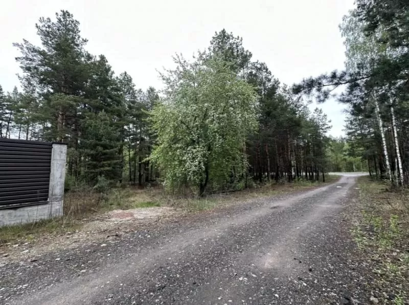 Продаж ділянки 10 сот. Київ у лісі. 5