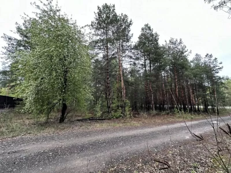 Продаж ділянки 10 сот. Київ у лісі. 6