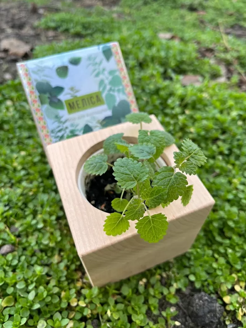 Корпоративні подарунки для агробізнесуагрокомпаній від Екокуб 5