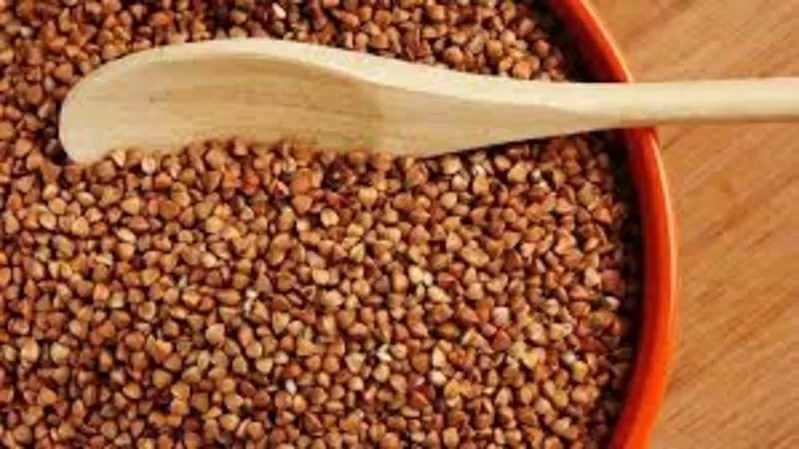 Продаж зерна гречки оптом від 5 тонн