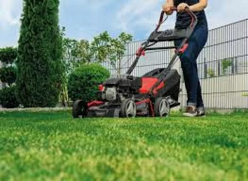 Покіс трави: Київ,  Київська область та Біла Церква. Швидко,  якісно,  до 6