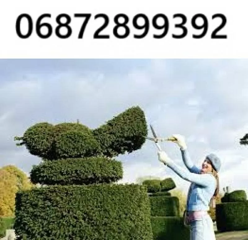 Декоративна стрижка туй — надаємо саду ідеальної форми!