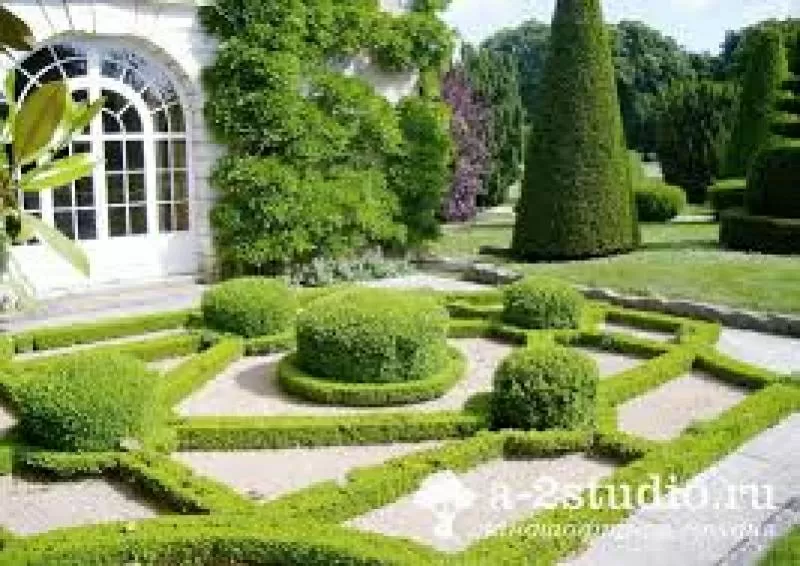 Декоративна стрижка туй — надаємо саду ідеальної форми! 4