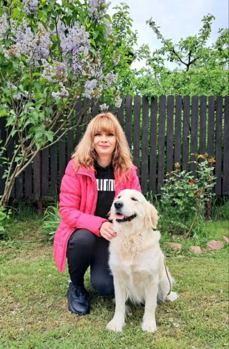 Цуценята золотистого ретрівера Ot Bahur Киев 2