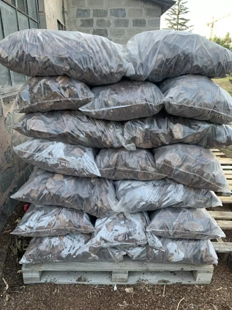 Кора соснова: велика, середня, дрібна, мульча. Декор. Опт та роздріб 3