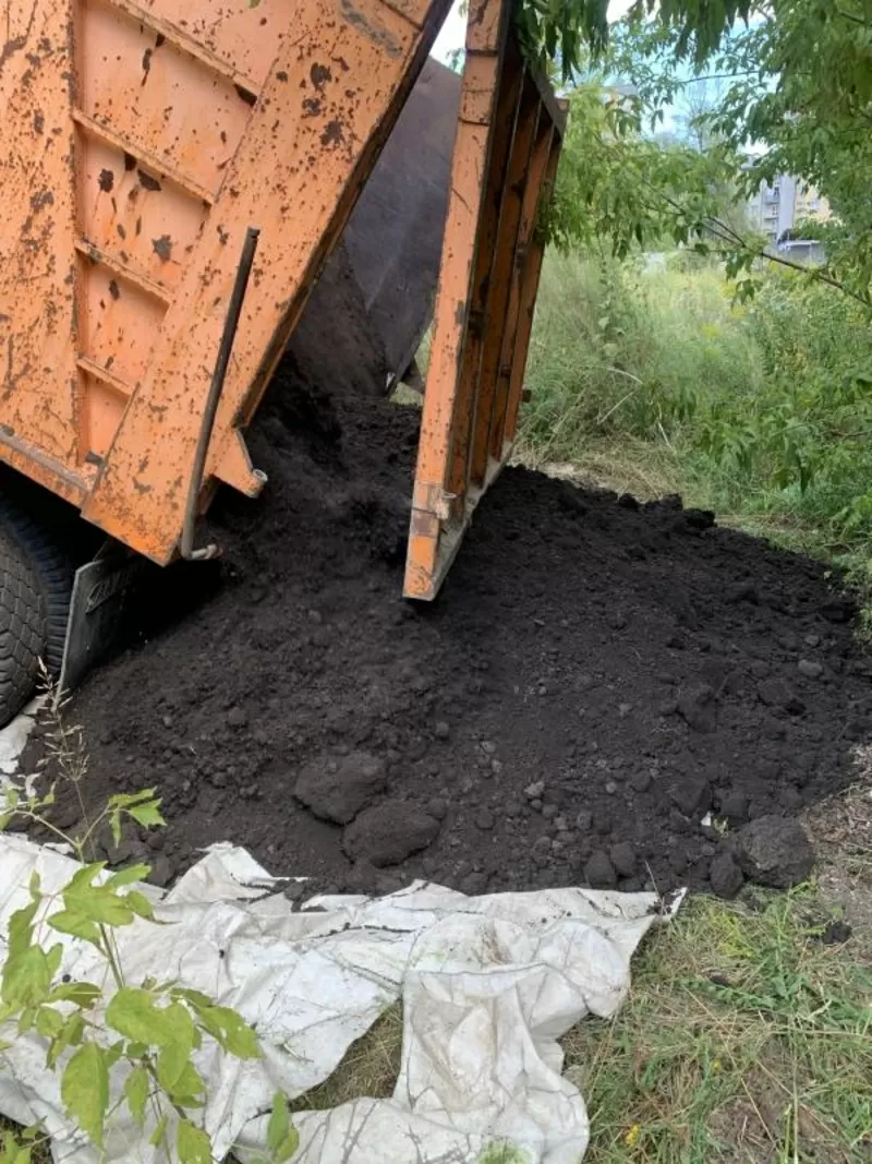 Кора соснова: велика, середня, дрібна, мульча. Декор. Опт та роздріб 4