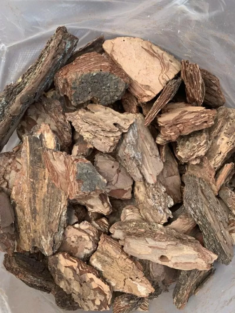 Кора соснова: велика, середня, дрібна, мульча. Декор. Опт та роздріб 5