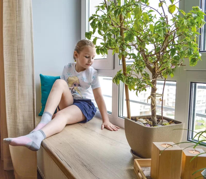 Подоконники деревянные ALBER Альбер коллекция Стандарт