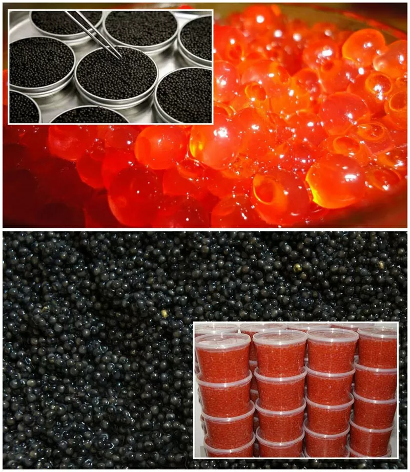 Продам ікру імітовану лососеву та осетрову