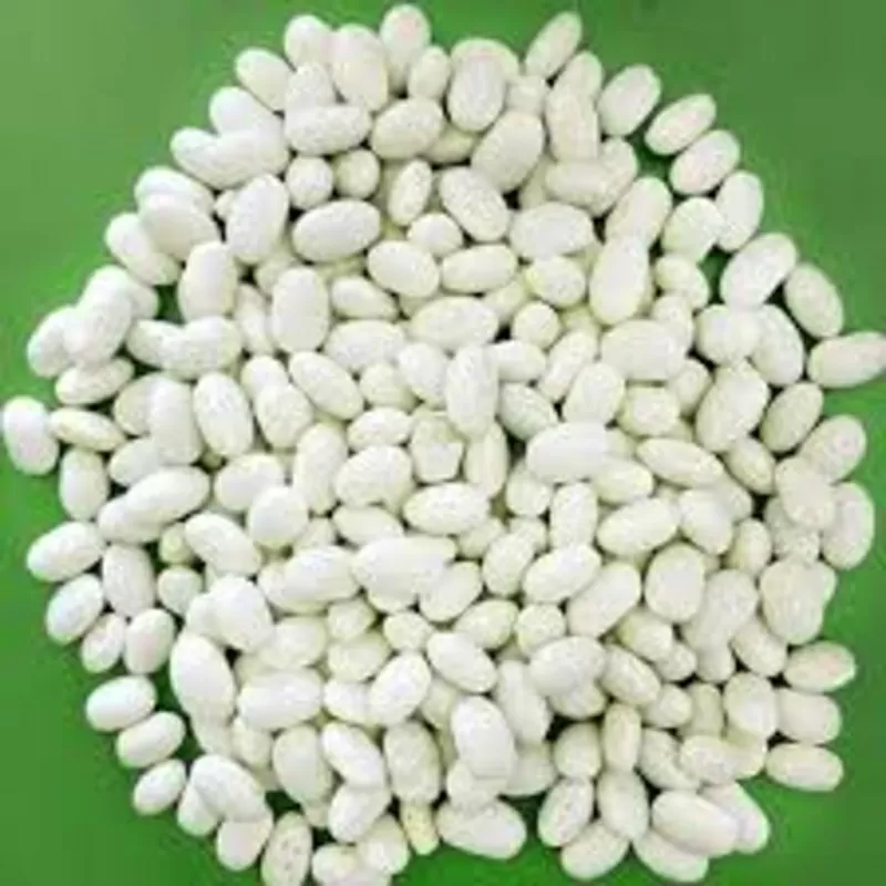 Насіння,  посівмат квасолі сортів Неві Бінс,  Червона довга,  Пінто,  Черв