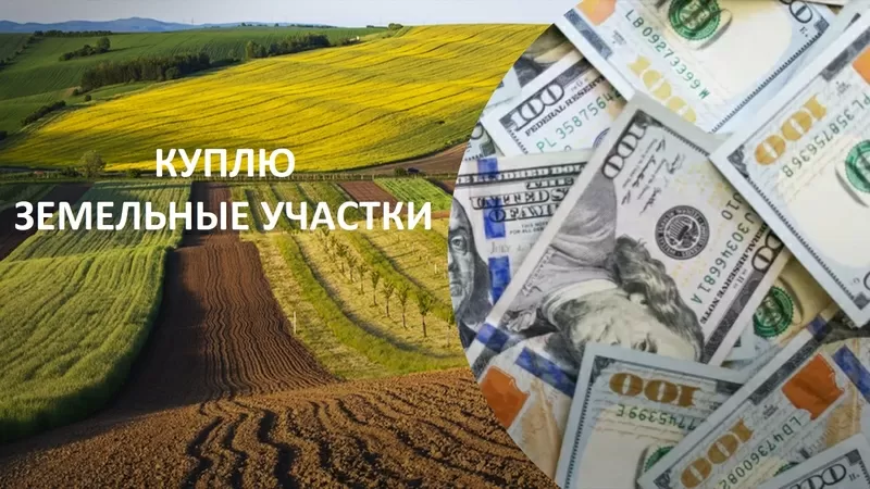 Куплю земли в Киеве и пригороде у собственника 