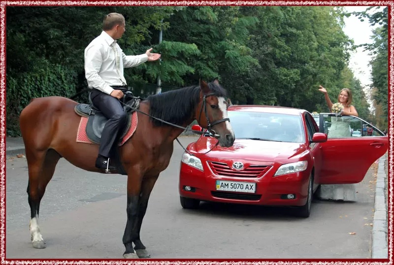 Фотограф Владимир Билинский 8