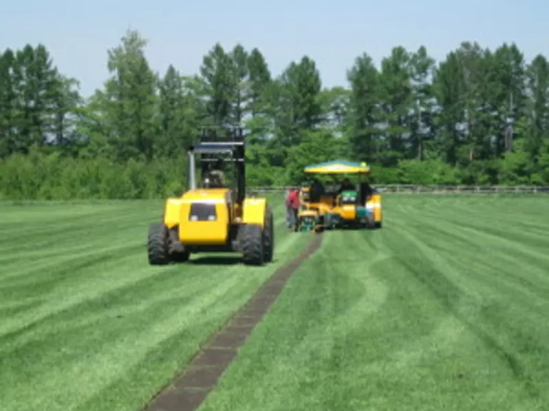 Проект производственного участка по изготовлению рулонных газонов 2