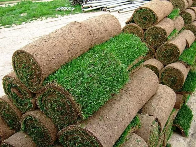 Проект производственного участка по изготовлению рулонных газонов 5