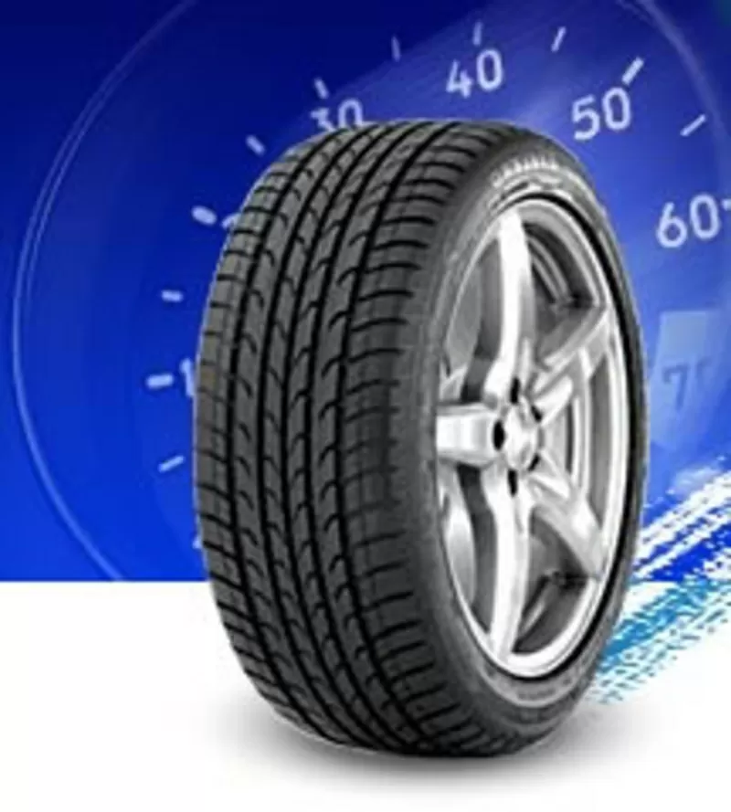 Автошины: DUNLOP,  NEXEN,  FULDA,  NOKIAN,  PIRELLI,  BARUM,  GISLAVET и др.