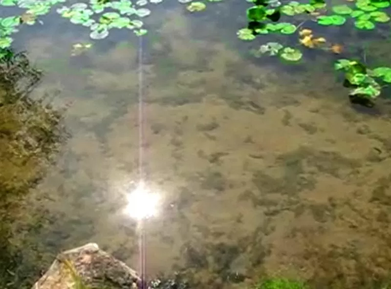 Чистим водоемы. Чистим бассейны. Чистим траншеи