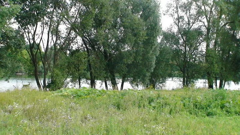 Продам Киевская обл. дом,  дача 2