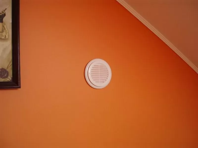 Знищення плісняви на стінах,  грибка,  цвілі , сирості в будинку 2