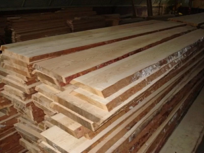 Лиственница сибирская,  Сибирская лиственница