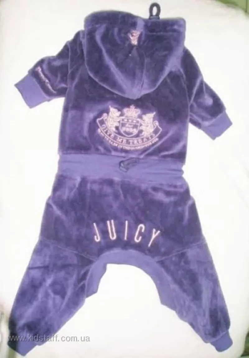 Одежда для собак Juicy Couture 2