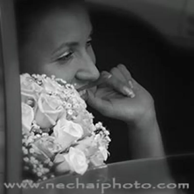 Фотограф на свадьбу Евгений Нечай и свадебный фотограф Светлана Нечай