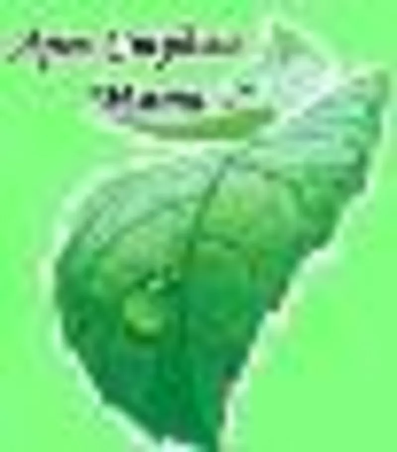 организация праздников!