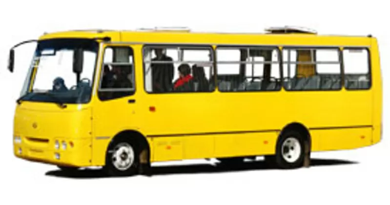 Пассажирские перевозки автобусами