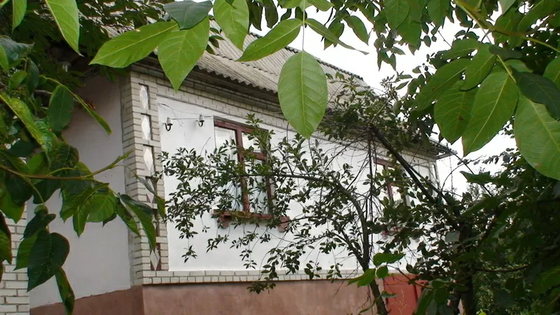 Продам Киевская обл. дом,  дача