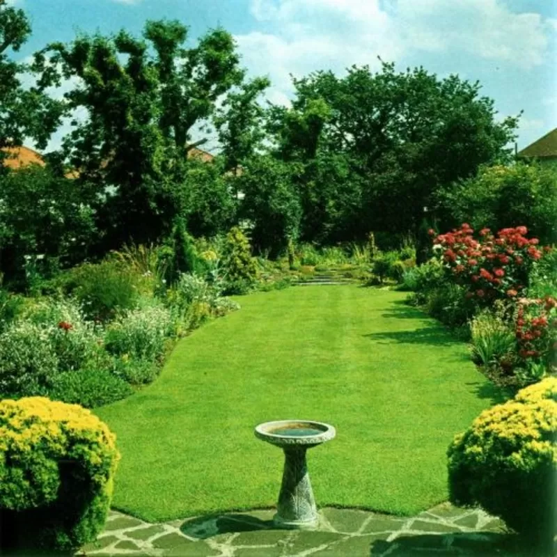 Весенняя чистка газона!