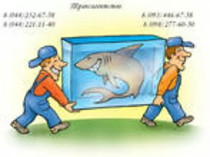 Грузчики в Донецке