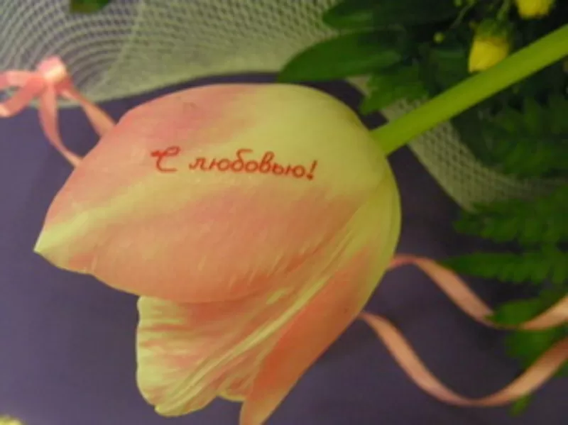 Наклейки на цветы,  говорящие цветы,  пленка для наклеек на цветы